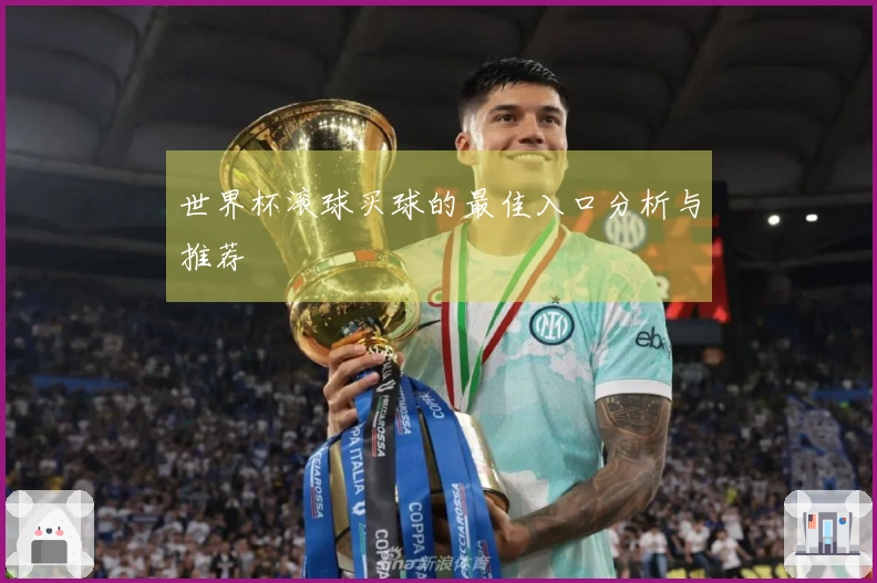 世界杯滚球买球的最佳入口分析与推荐