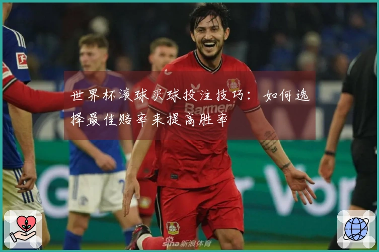 世界杯滚球买球投注技巧：如何选择最佳赔率来提高胜率