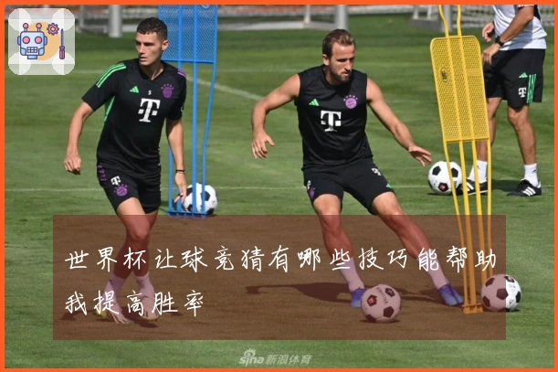 世界杯让球竞猜有哪些技巧能帮助我提高胜率