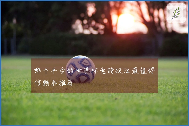 哪个平台的世界杯竞猜投注最值得信赖和推荐
