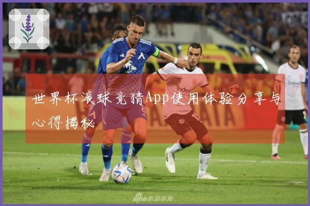 世界杯滚球竞猜App使用体验分享与心得揭秘