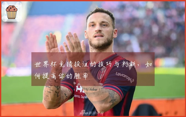 世界杯竞猜投注的技巧与判断，如何提高你的胜率