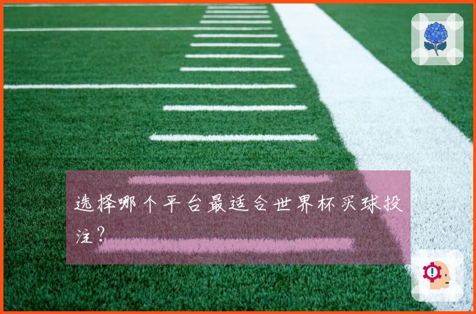 选择哪个平台最适合世界杯买球投注？