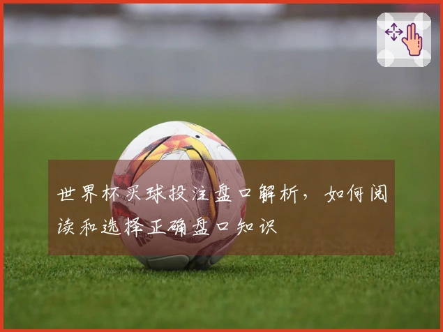 世界杯买球投注盘口解析，如何阅读和选择正确盘口知识