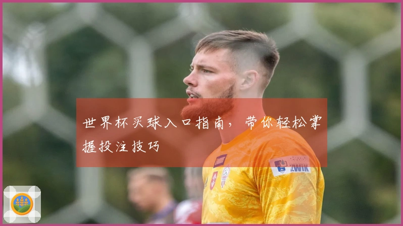 世界杯买球入口指南，带你轻松掌握投注技巧