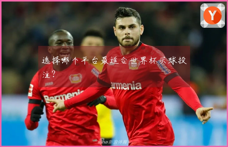 选择哪个平台最适合世界杯买球投注？