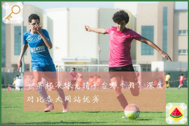 世界杯滚球竞猜平台哪个好？深度对比各大网站优劣