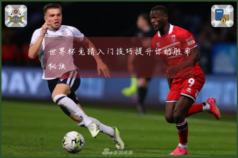 世界杯竞猜入门技巧提升你的胜率秘诀