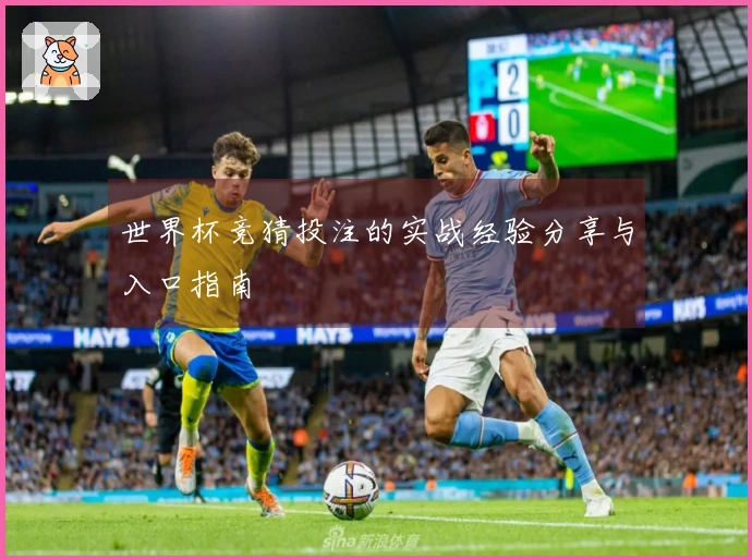世界杯竞猜投注的实战经验分享与入口指南