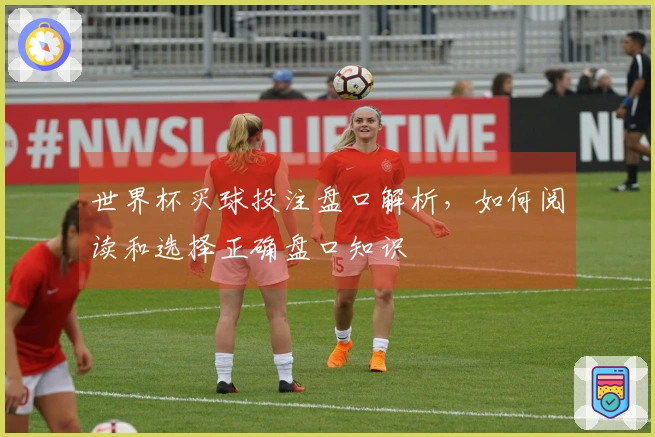 世界杯买球投注盘口解析，如何阅读和选择正确盘口知识