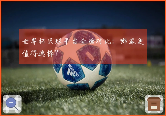 世界杯买球平台全面对比：哪家更值得选择？